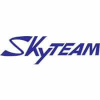 Skyteam Logo