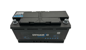  019 Dynamic AGM